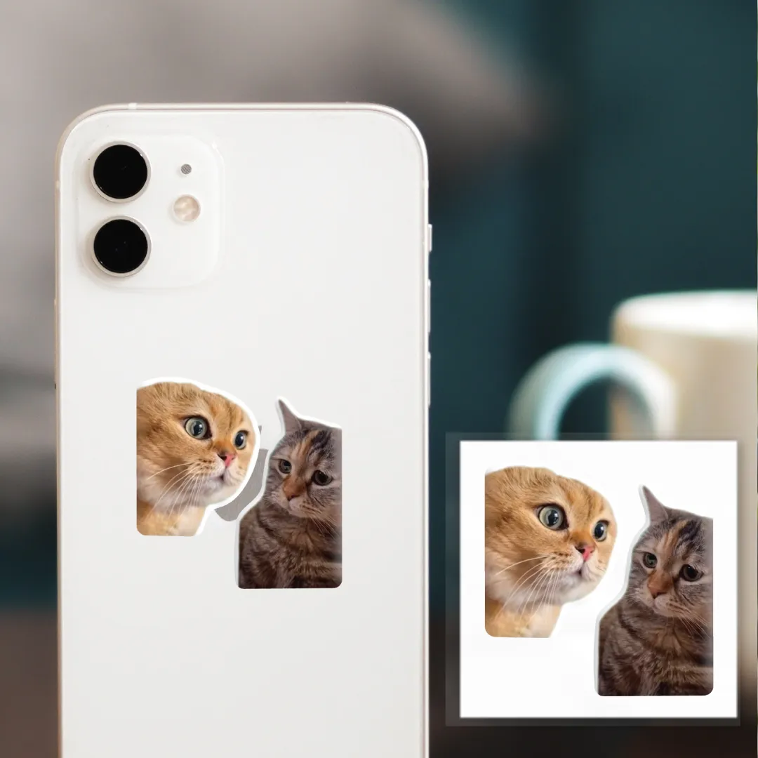 3D стікер "Коти меми" 1
