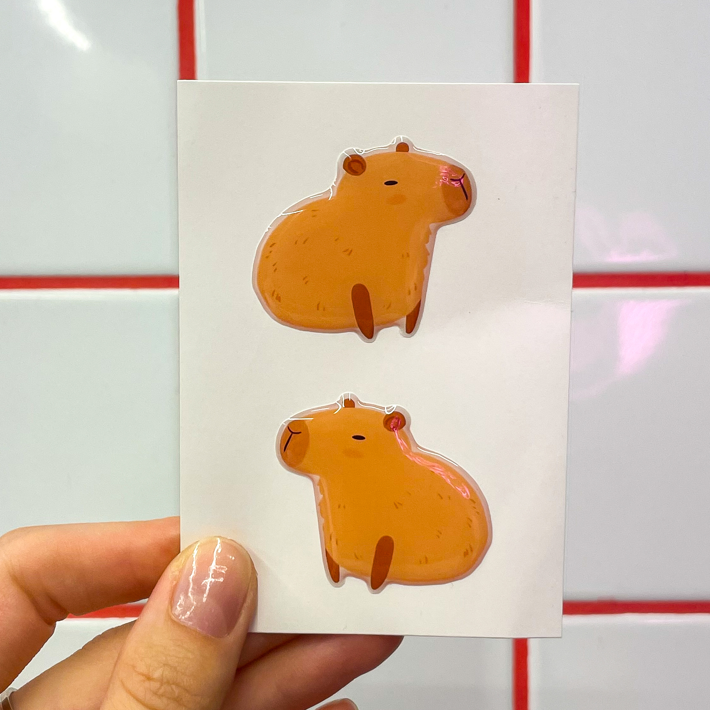 Стікерпак 3D А7 "Capybaras" Cobart 1