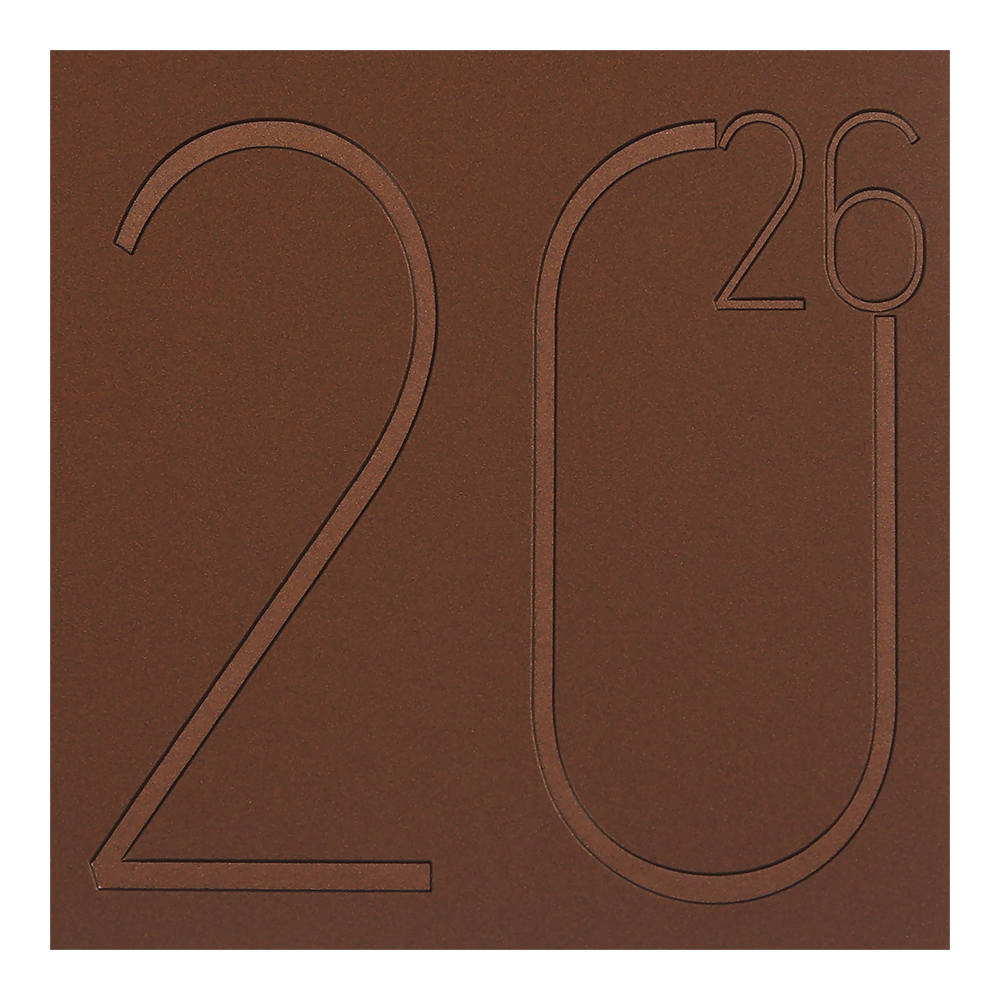 Щоденник датований A6, 2026 Steel, бронза, BM.2517-51 2