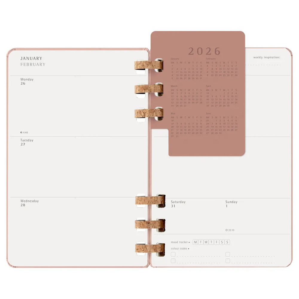 Щотижневик мигдальний, середній  Moleskine 2026 Spiral, DHSPP2912MWH3Y26 1