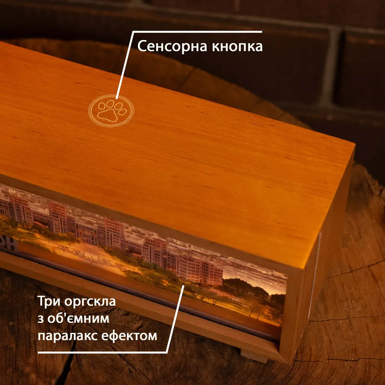 Ночник-панорама "Харьков - железобетон", лакированное дерево (LED, Аккумулятор, USB Type-C), npa0011 3