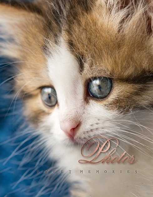 Фотоальбом Ufo 10*15*200 PP-46200 Cat photo