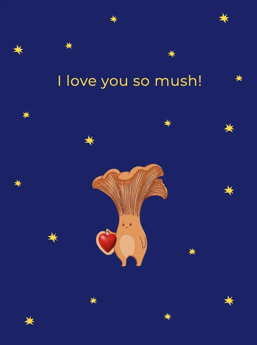 Листівка з конвертом A6 "Гриб", Cobart, СS-GС-003