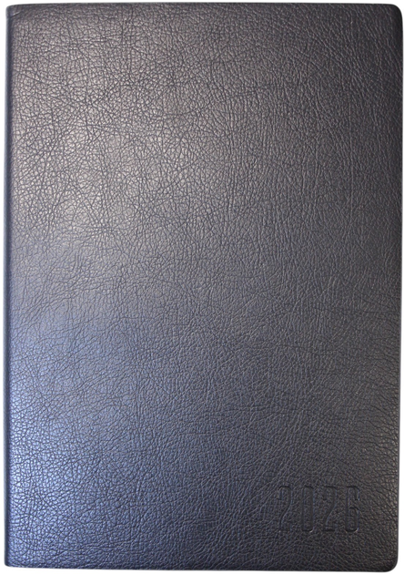 Дневник датированный А5, 320 стр., кожзам, арт.9902