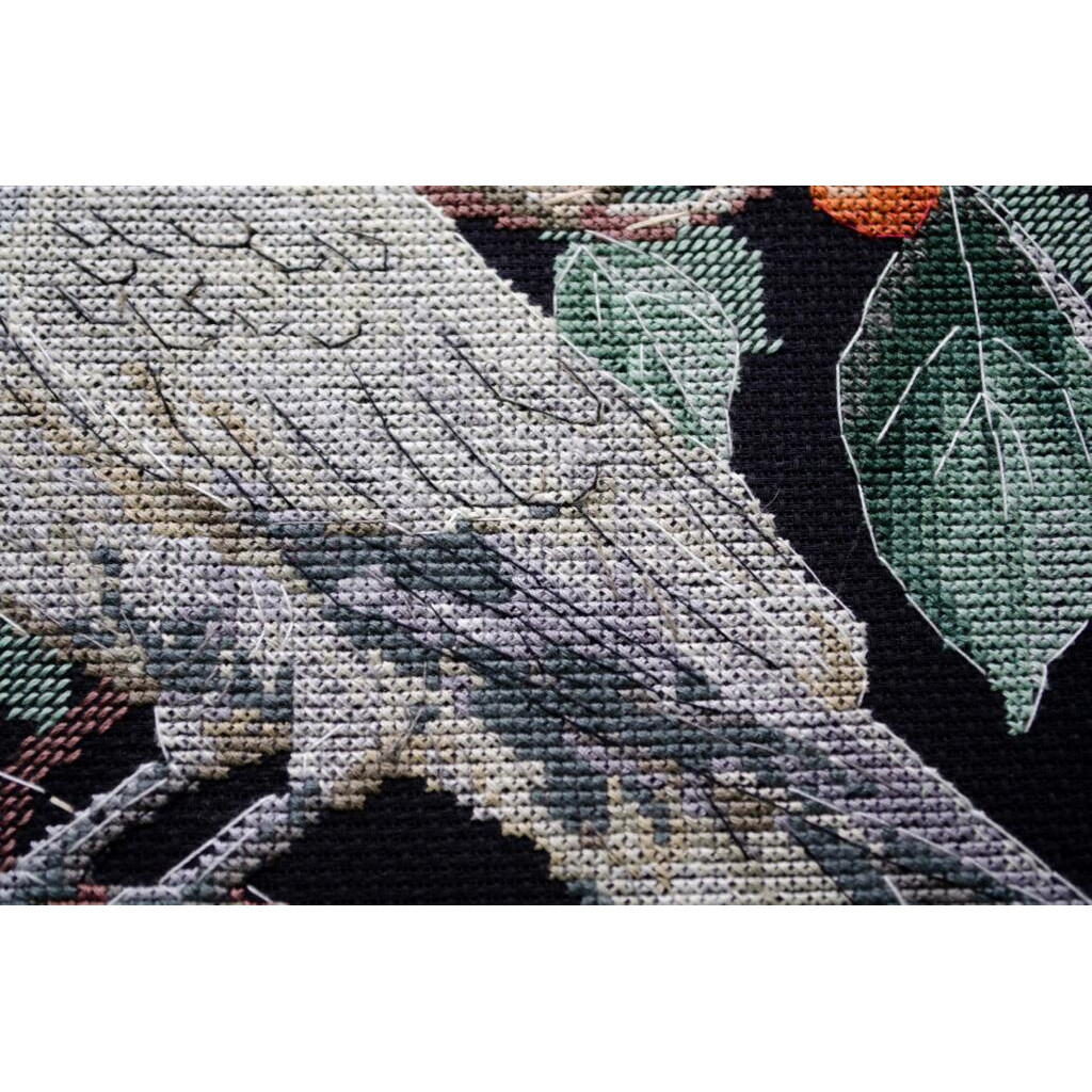 Набір для вишивання хрестиком "Інша краса", AH-258 3