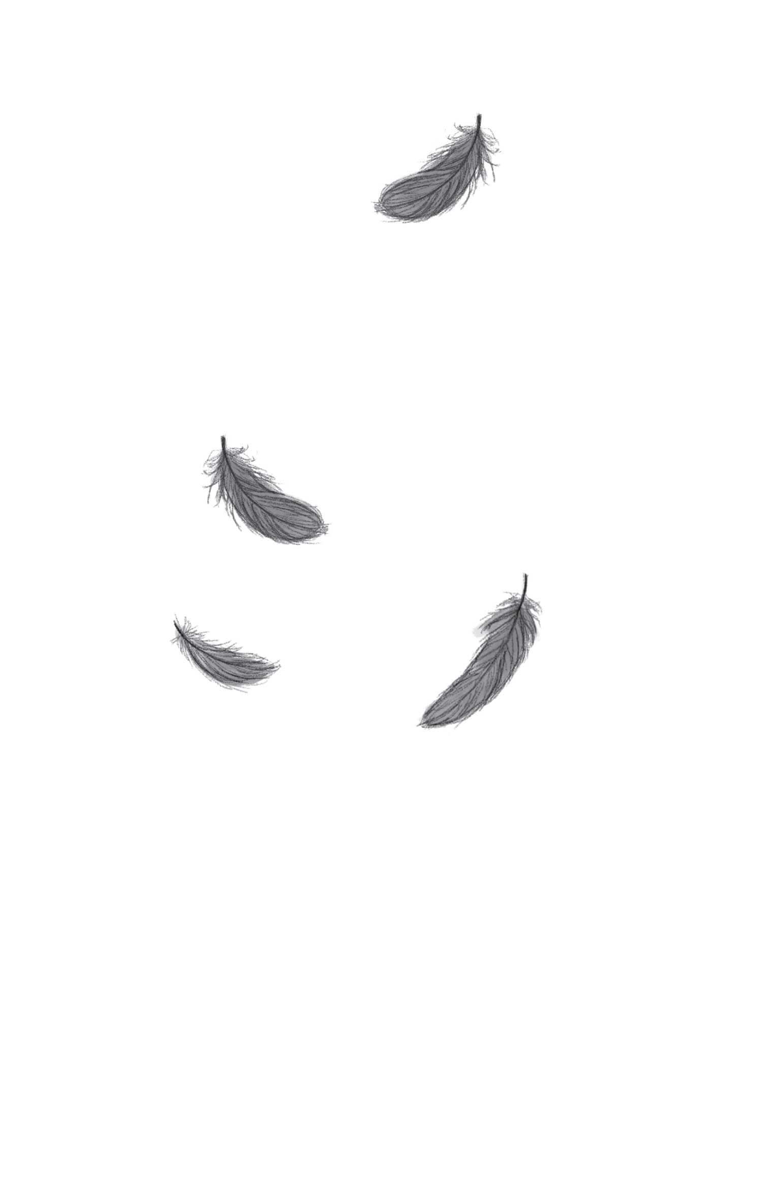 Книга "Меггітт-Філліпс Дж. Бетані та Чудовисько" (у) (1517) 3