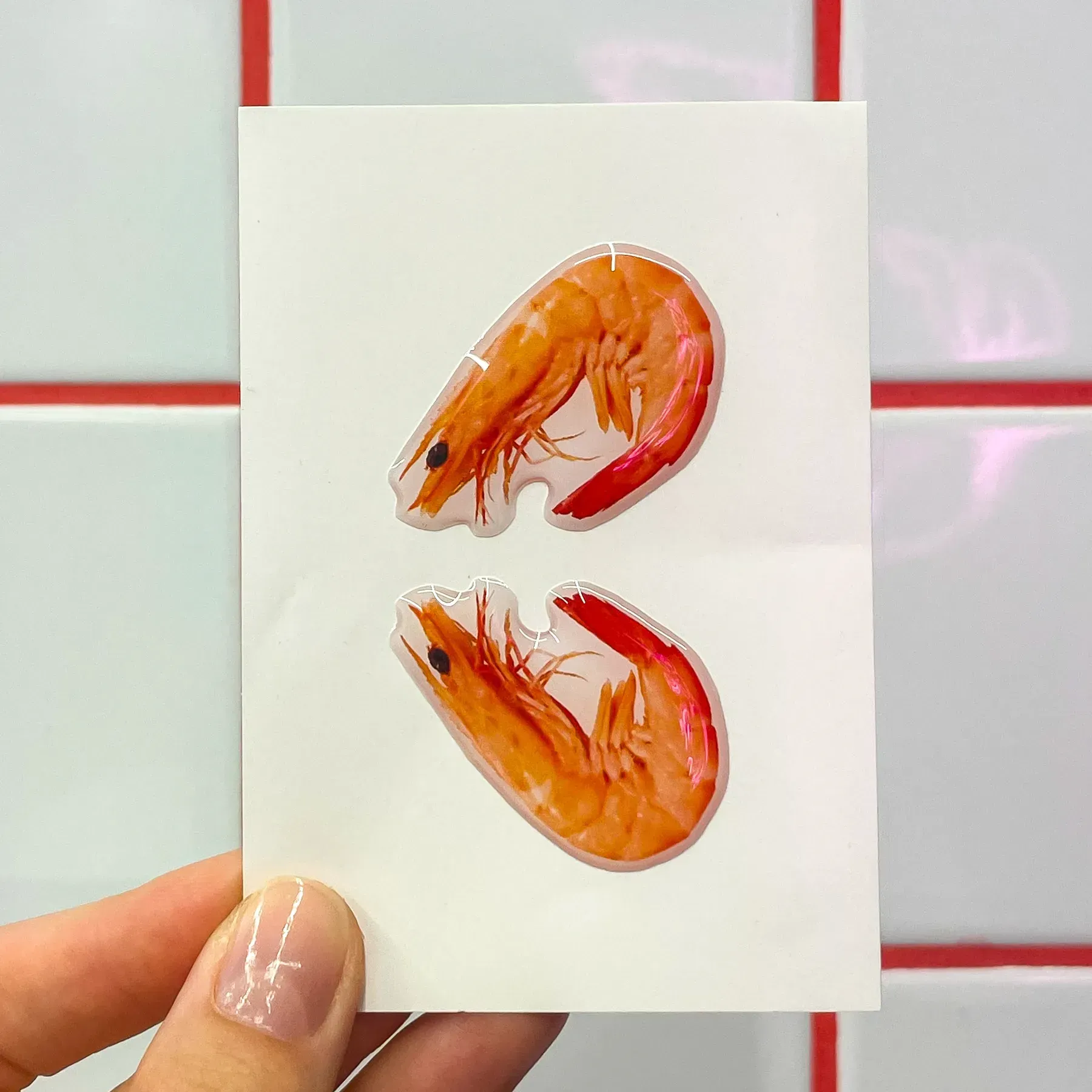 Стикерпак 3D А7 "Shrimps" Cobart