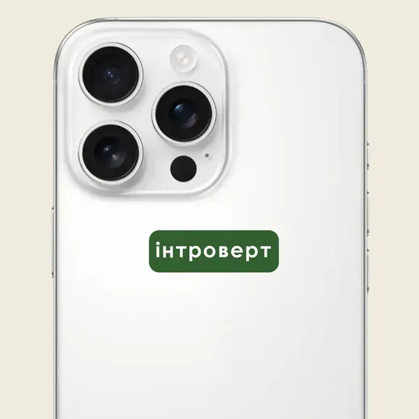 Стикер 3D "интроверт" Cobart