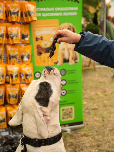 Лакомство для собак натуральные сушеные. Легкие говяжьи, 50 г 5