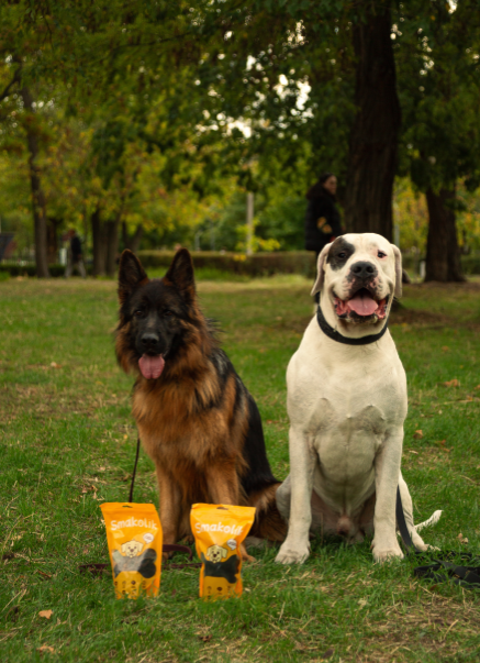 Лакомство для собак натуральные сушеные. Сердце говяжье, 150 г 3