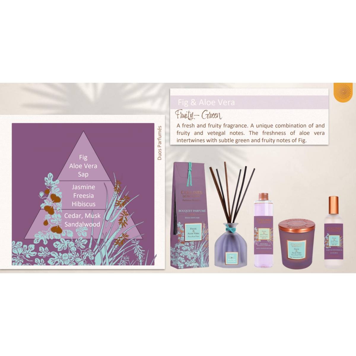 Саше ароматическое "Инжир и Алоэ вера" Collines de Provence, C2814FAV 1