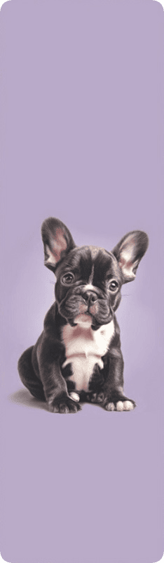 Закладка для книг MriyTaDiy, "Бульдожка -1", mriy-04