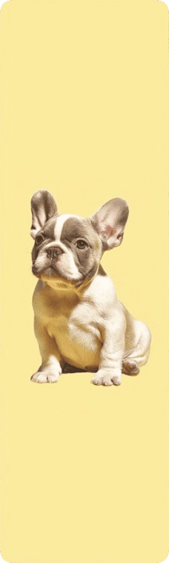 Закладка для книг MriyTaDiy, "Бульдожка -2", mriy-05