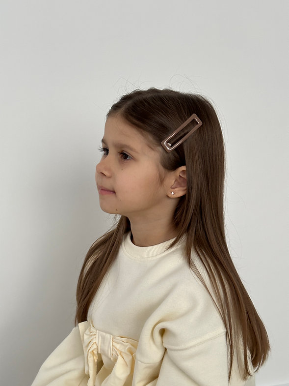 Набір заколок глянцеві прямокутники рожевий/коричневий із 4 шт, KL37 1