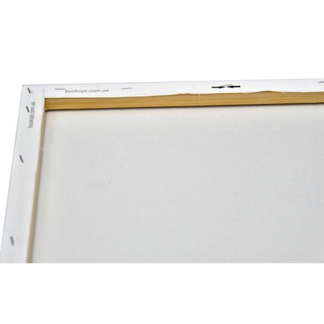 Раскраска на холсте «Друг енотик» 20*20 см, MBS027 2