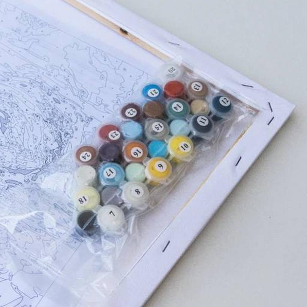 Раскраска на холсте «Друг енотик» 20*20 см, MBS027 3