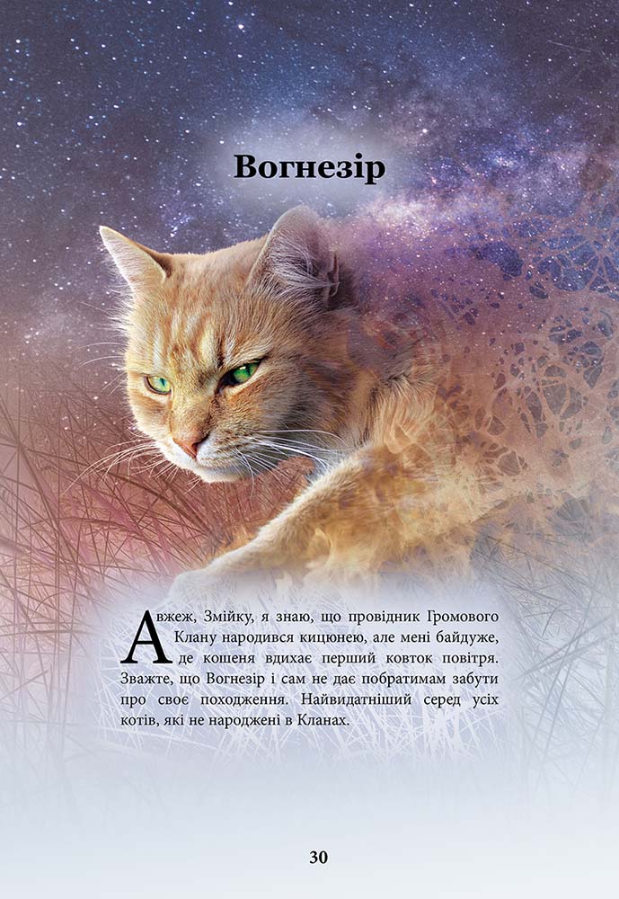 Книга "Гантер Е. Коти - вояки. Герої кланів. Хроніки Зореклану" (у) (7907) 3