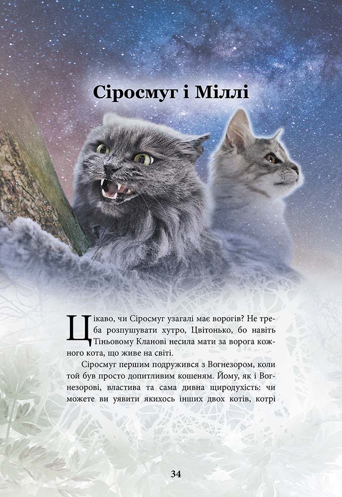 Книга "Гантер Е. Коти - вояки. Герої кланів. Хроніки Зореклану" (у) (7907) 5