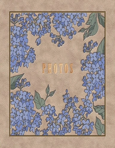 Фотоальбом Ufo 10*15*200 PP-46200 Moment