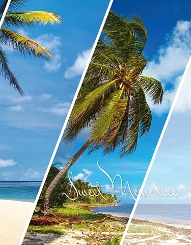 Фотоальбом Ufo 10*15*200 PP-46200 Paradise