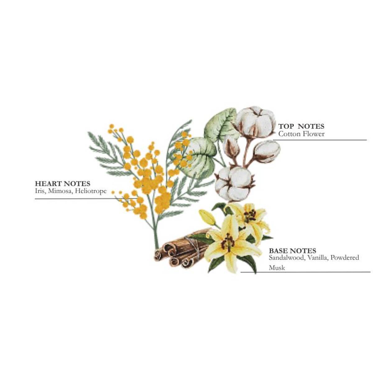 Подарунковий набір "Бавовна" Collines de Provence: спрей 100 мл, свічка 180 г, C3626COT 5