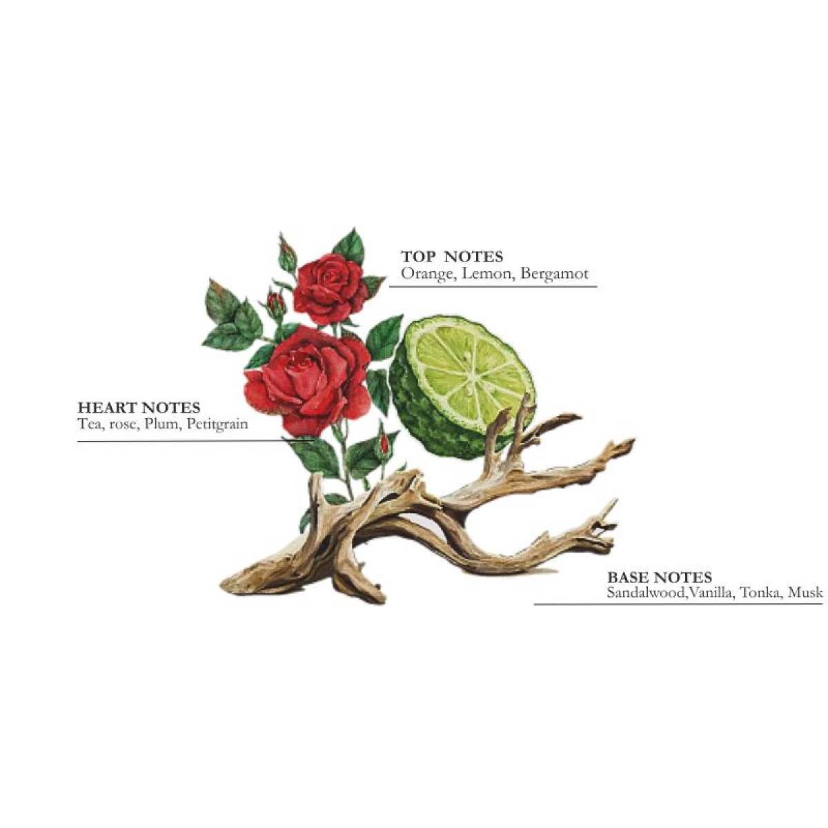 Подарунковий набір "Білий чай" Collines de Provence: спрей 100 мл, свічка 180 г, C0126TBL 6