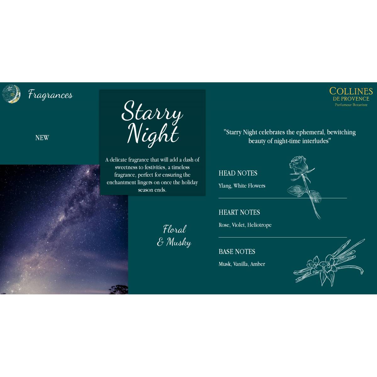 Подарунковий набір "Зоряна ніч" Collines de Provence: дифузор Зоряна ніч 100 мл, свічка Апельсин-кориця 180 г, A2502SN 3