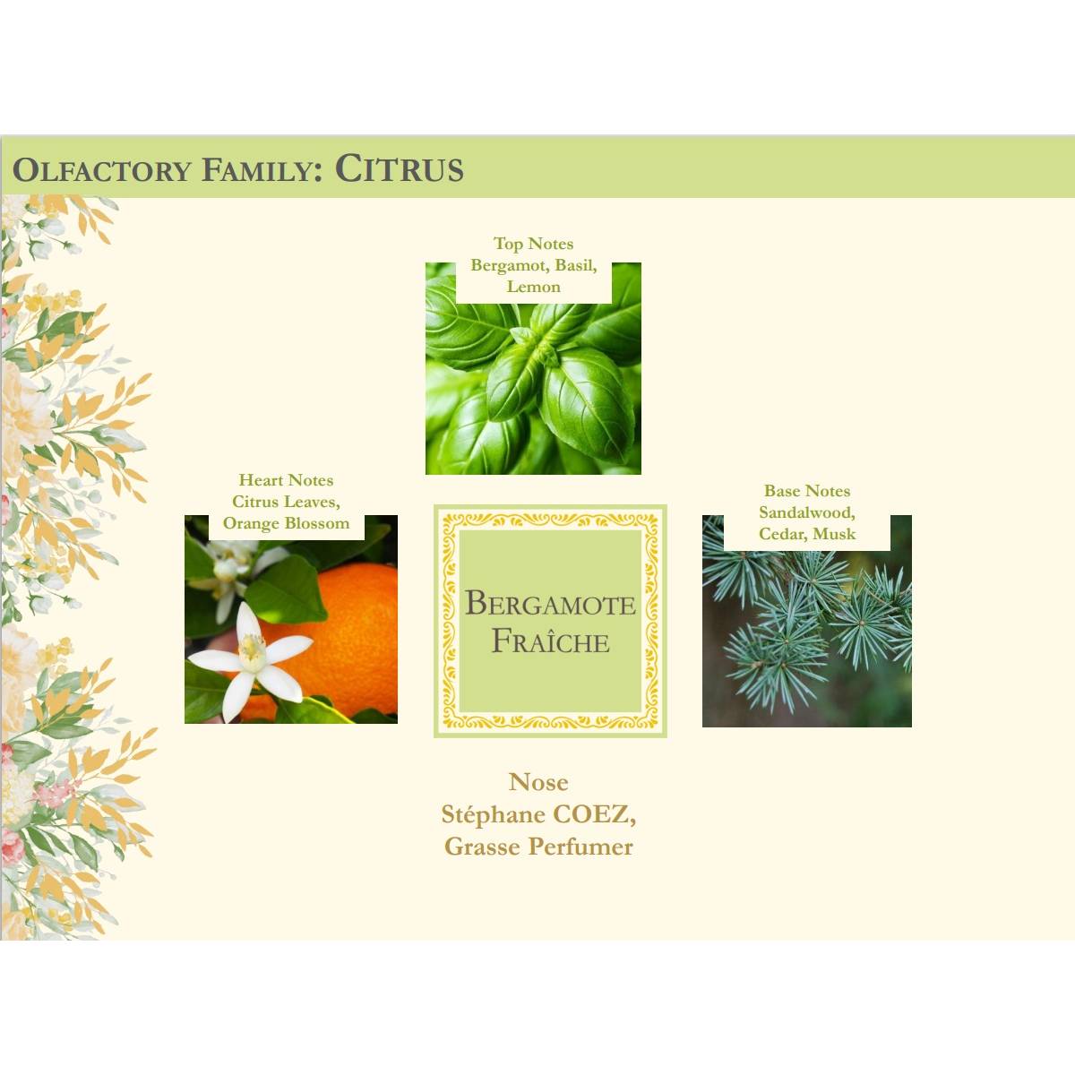 Подарунковий набір "Свіжий бергамот" Collines de Provence: спрей 100 мл, свічка 180 г, C0126BFR 7