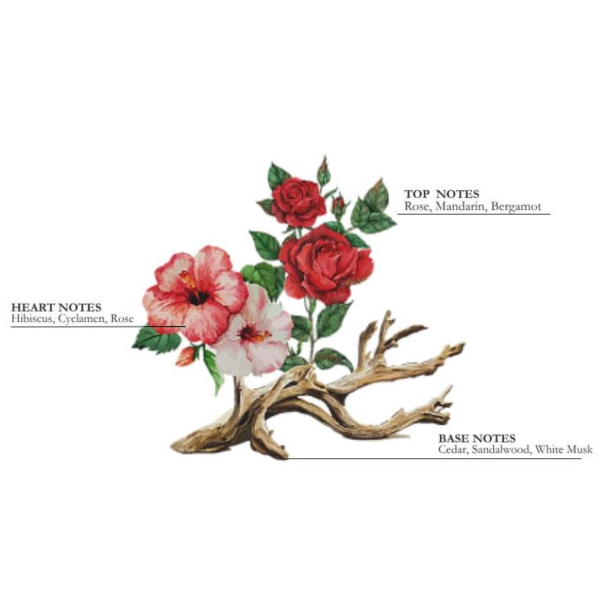 Подарунковий набір "Троянда і Гібіскус" Collines de Provence: спрей 100 мл, свічка 180 г, C2826RHI 6