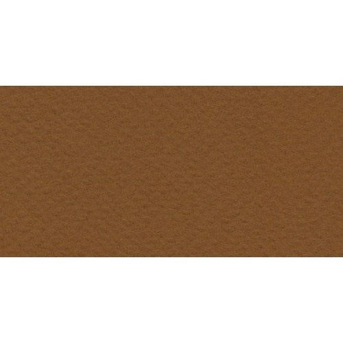 Бумага для пастели Tiziano 50*70 09 caffe 160г. (коричневый)