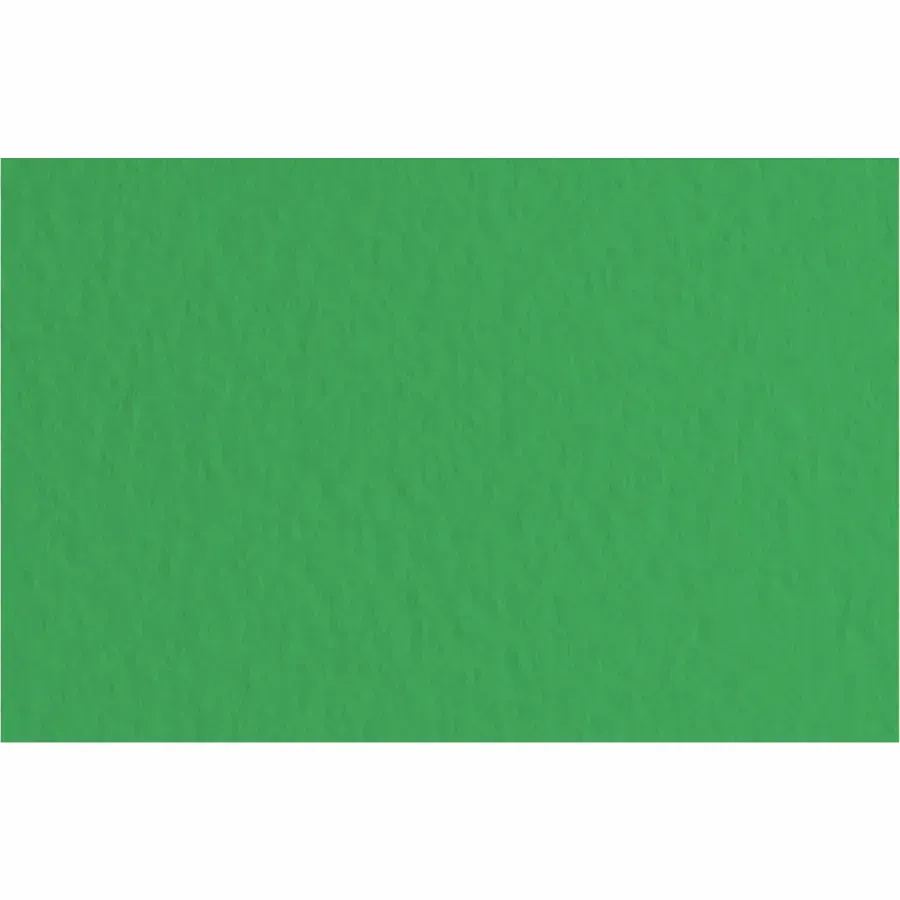 Бумага для пастели Tiziano 50*70 12 prato 160г. (зелёный)