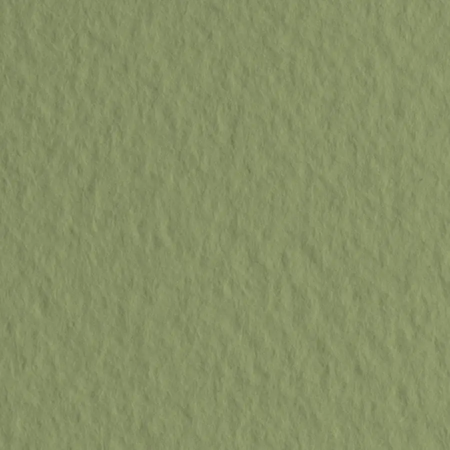 Бумага для пастели Tiziano 50*70 14 muschio 160г. зелёный