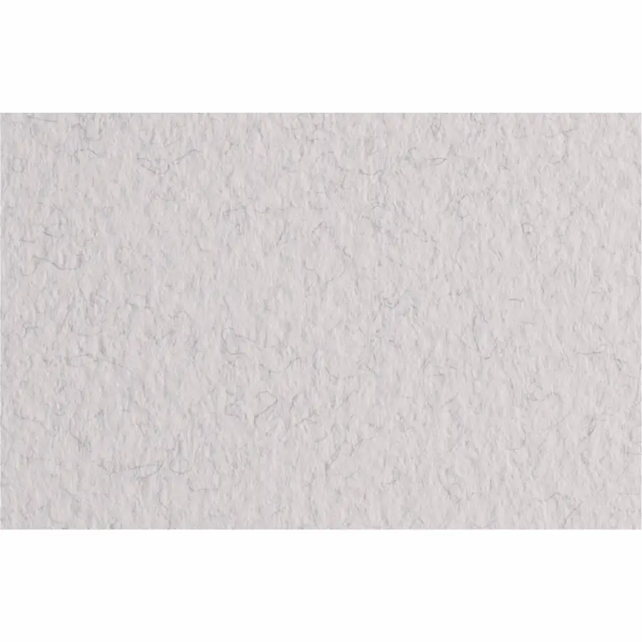 Бумага для пастели Tiziano 50*70 27 lama 160г.