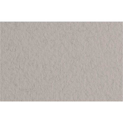 Бумага для пастели Tiziano 50*70 28 china 160г. серий с ворсинками