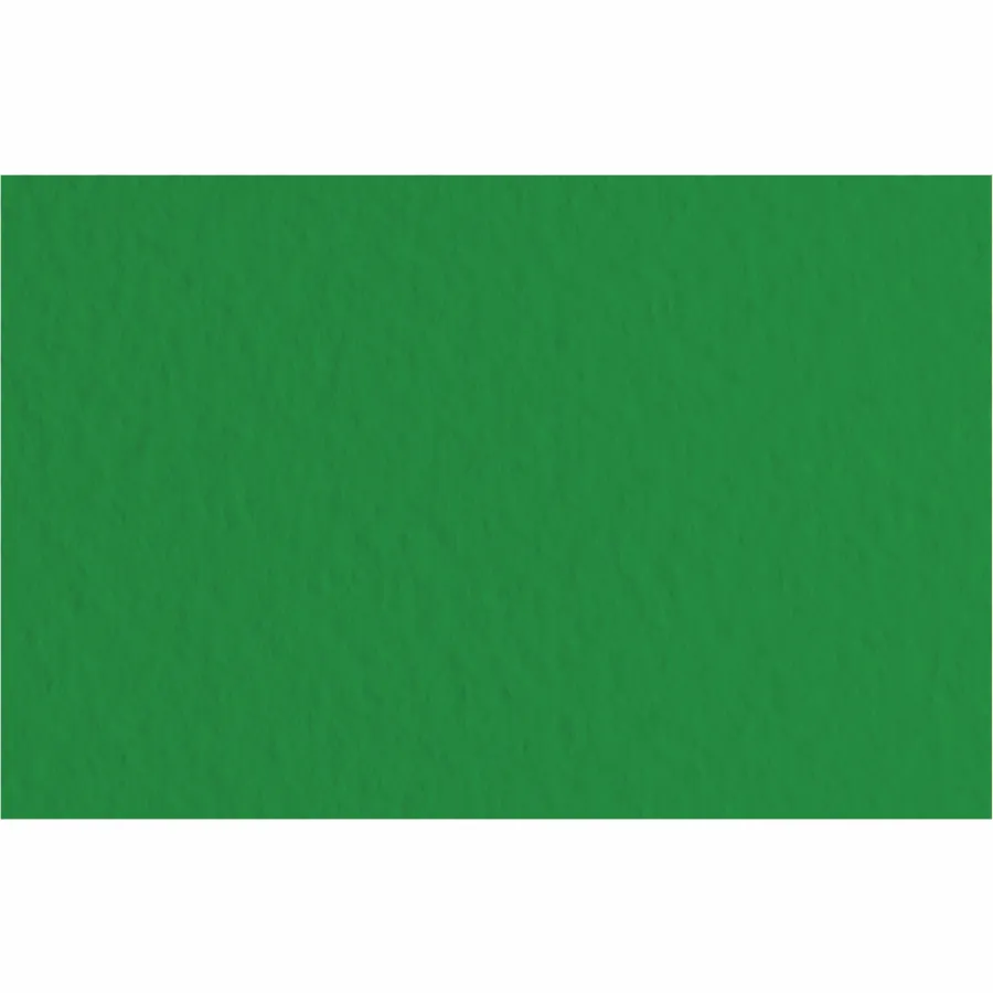 Бумага для пастели Tiziano 50*70 37 biliardo 160г. (зелёный)