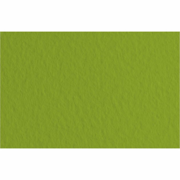 Бумага для пастели Tiziano 50*70 43 pistacchio 160г. (фисташковый)