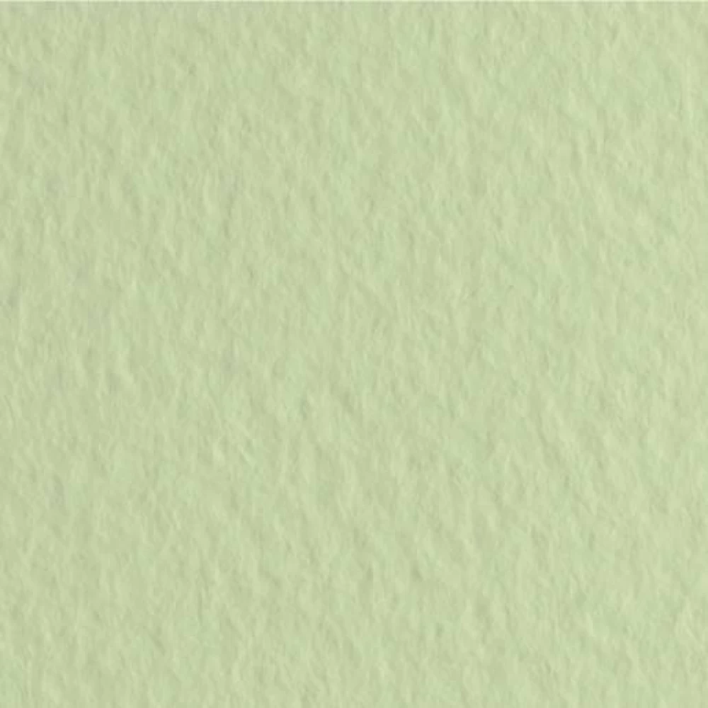 Бумага для пастели Tiziano А-4 11 verduzzo (салатовый)