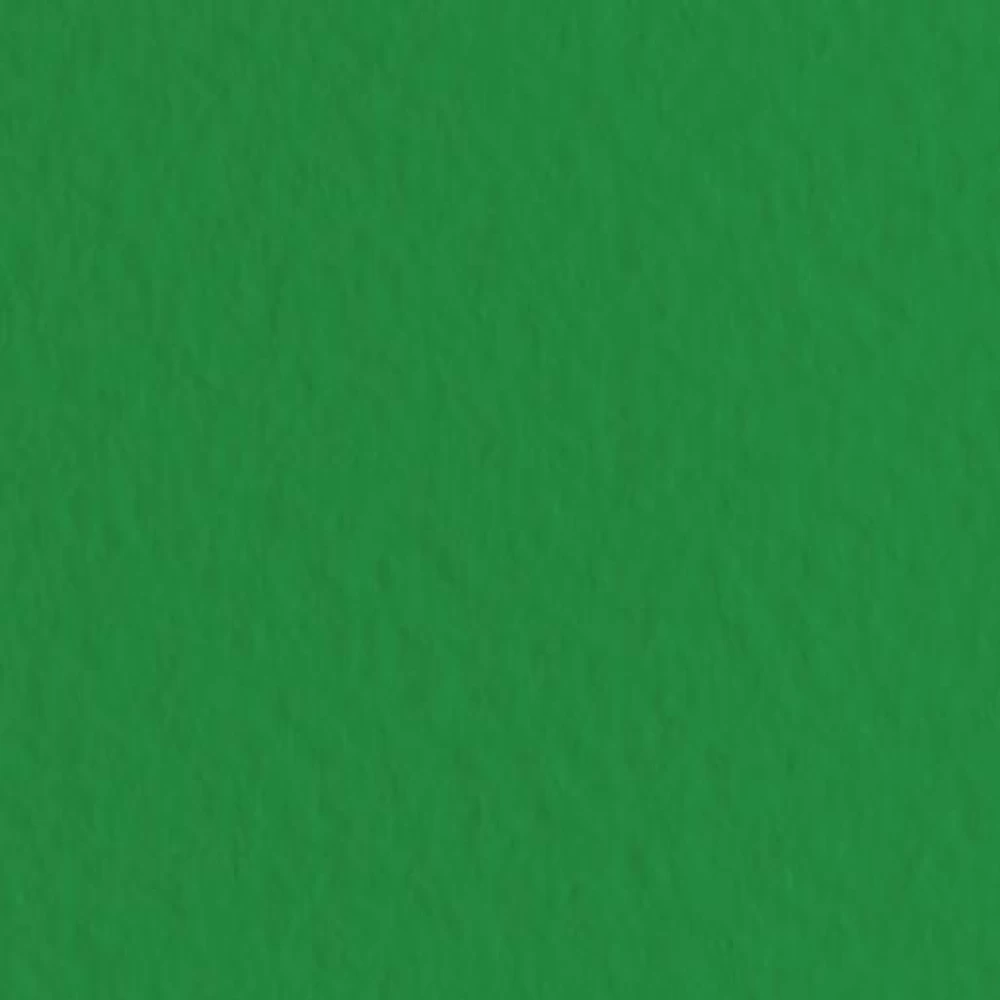 Бумага для пастели Tiziano А-4 12 plato (зелёный)