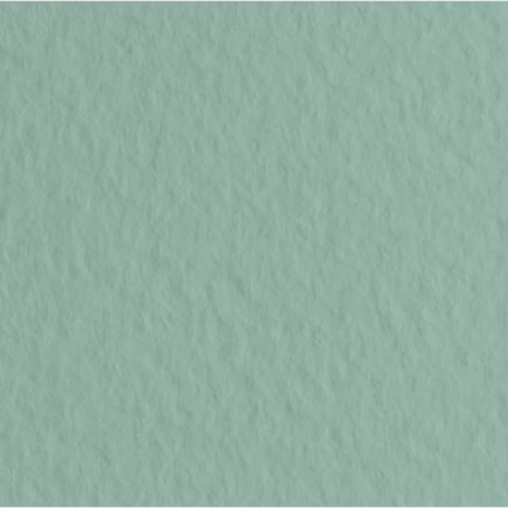 Бумага для пастели Tiziano А-4 13 salvia (серо-зелёный)