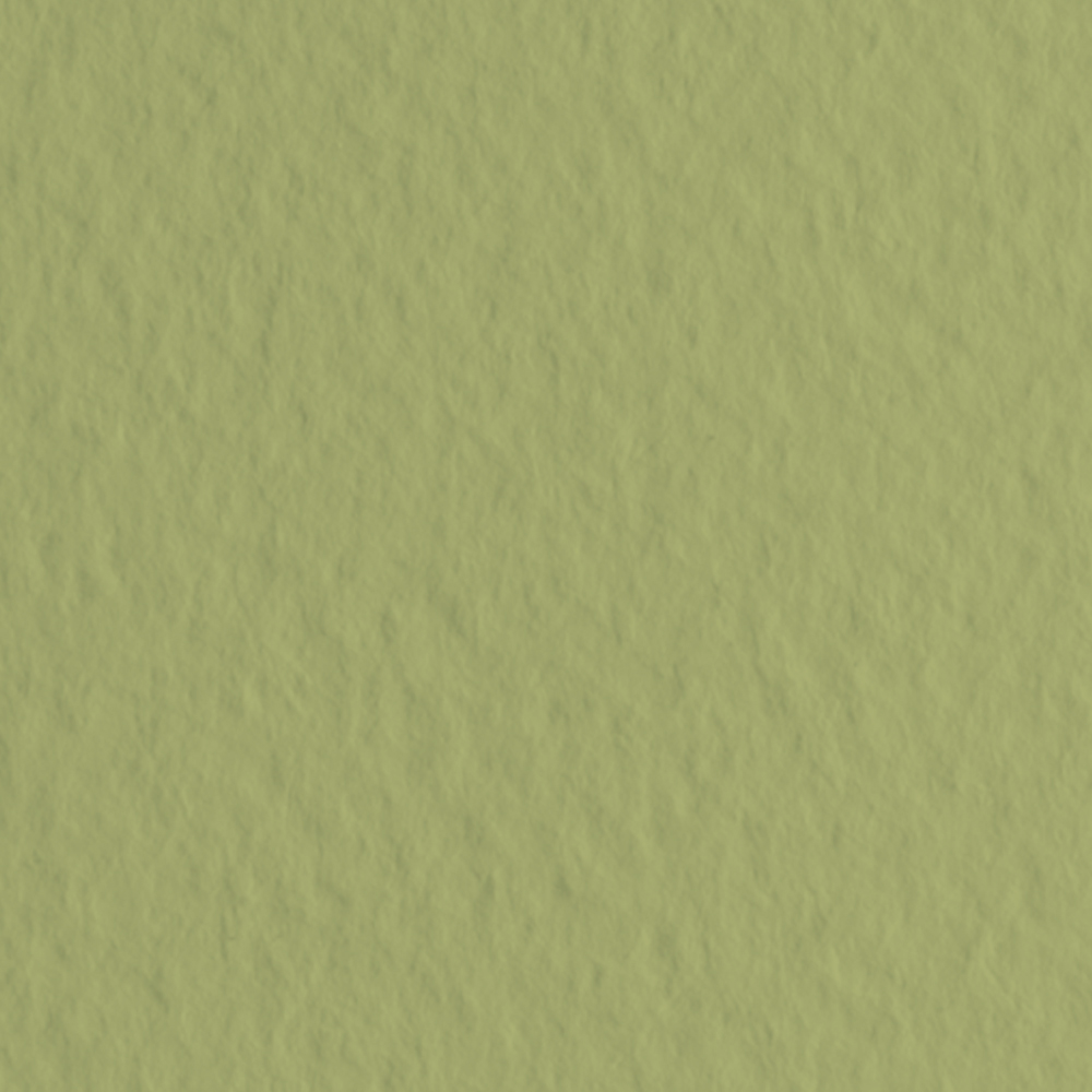 Бумага для пастели Tiziano А-4 14muschio (оливковый)