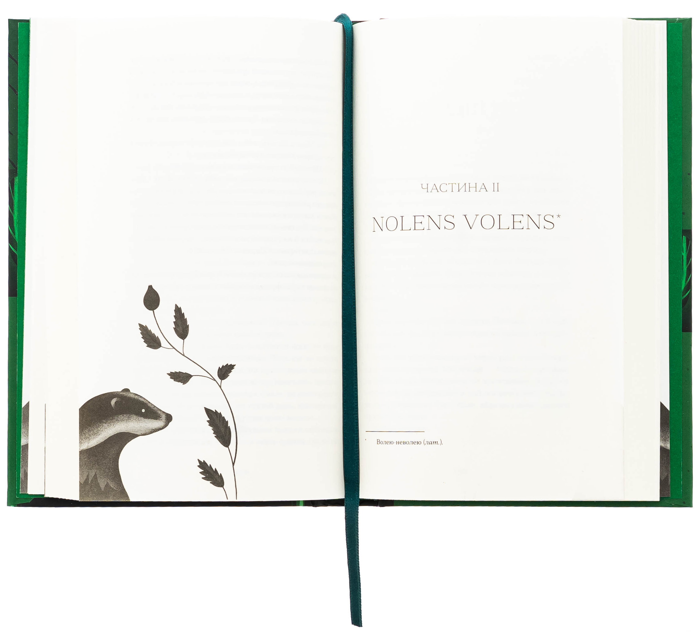 Книга "Нагорнюк Ю. Відьма вмирає втретє" (у) (5585) 4