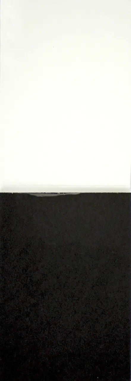 Блокнот "Animals sketchbook" four, А6, TM 4Profi, 31714 3