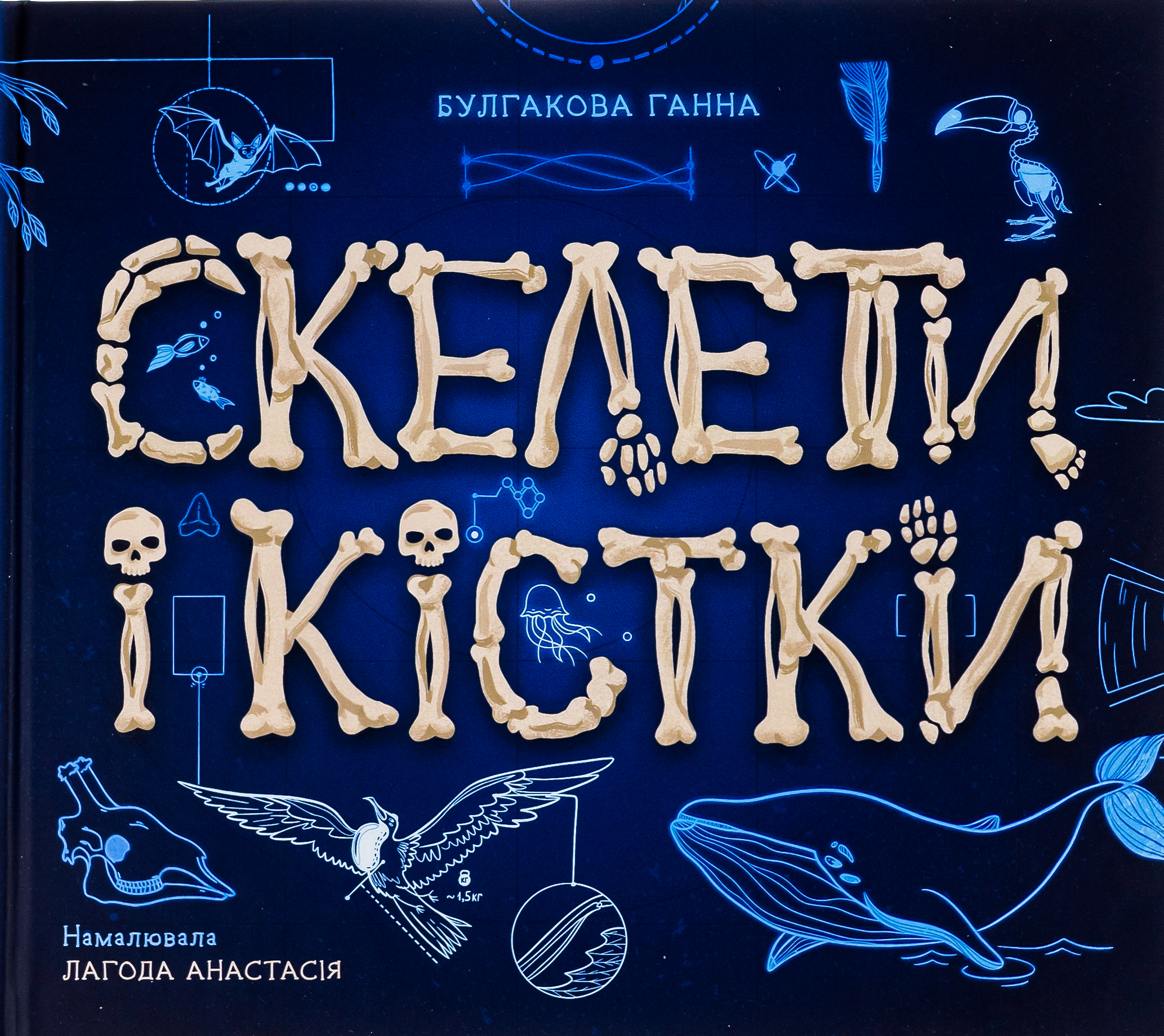 Книга "Энциклопедия с окошками: Скелеты и кости" (у) (4938) 1