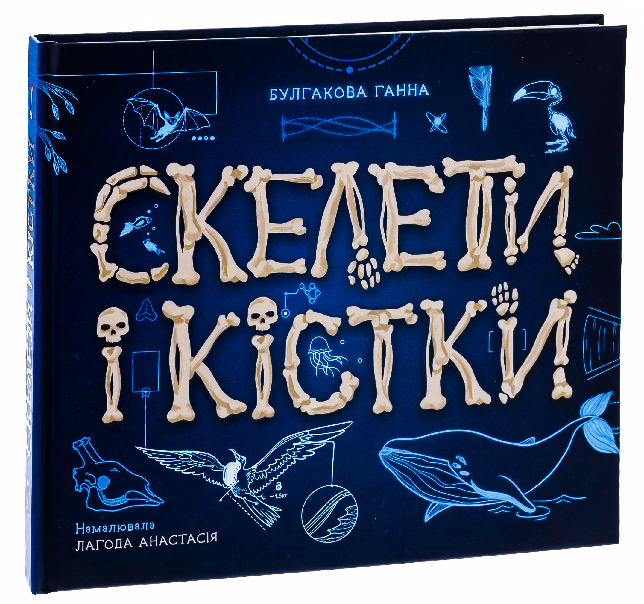 Книга "Энциклопедия с окошками: Скелеты и кости" (у) (4938)
