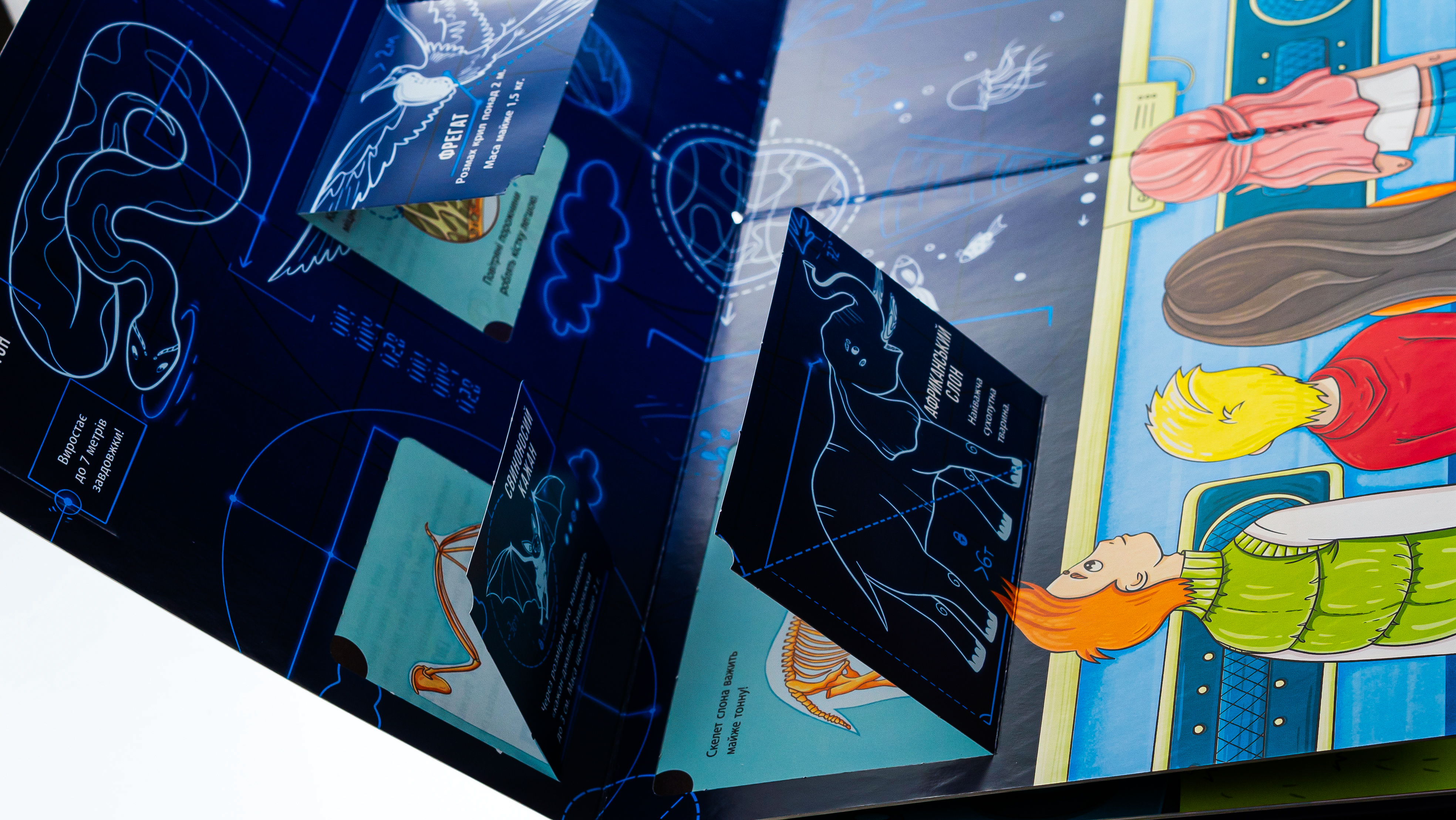 Книга "Энциклопедия с окошками: Скелеты и кости" (у) (4938) 3