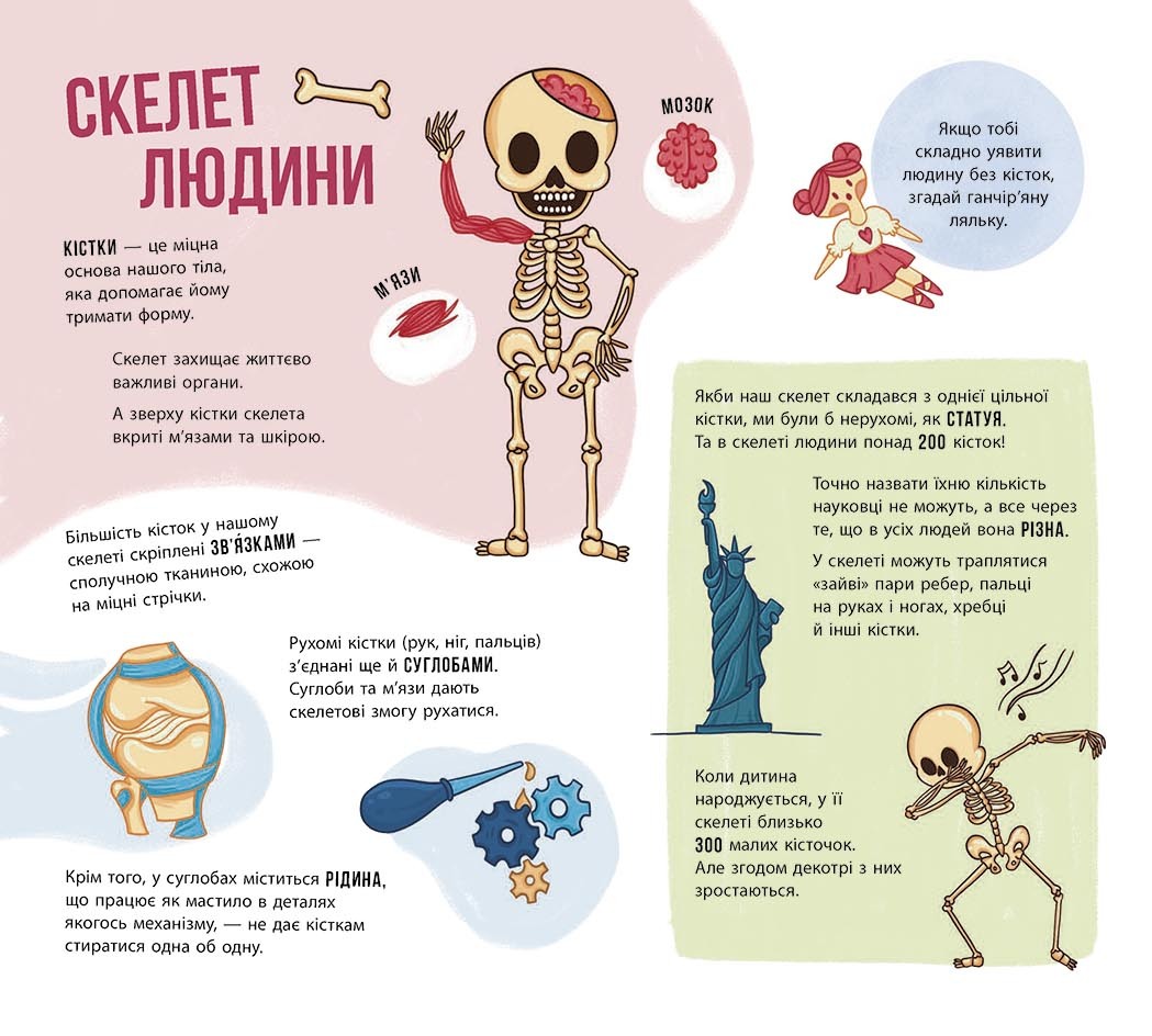 Книга "Энциклопедия с окошками: Скелеты и кости" (у) (4938) 8