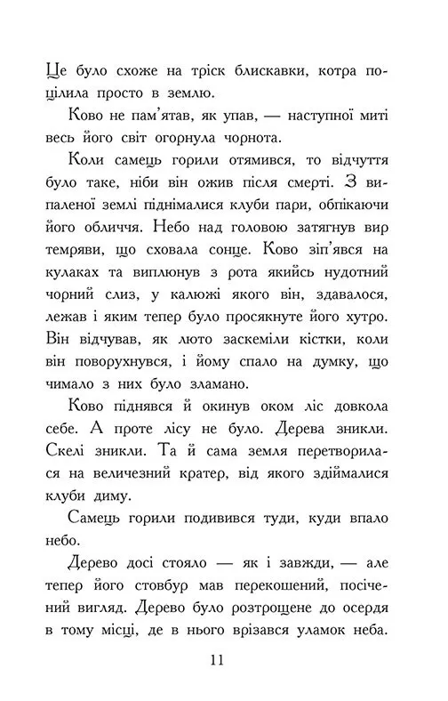 Книга "Зверодухи: падение зверей. Кн.4. Пламенный прилив" (у) (2988) 8