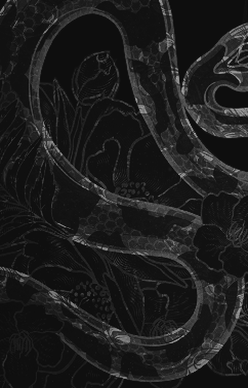 Книга "Вудз Гарпер Л. Із плоті й кісток. Кн.2: Що полює у сутіні" (у) (4999) 15