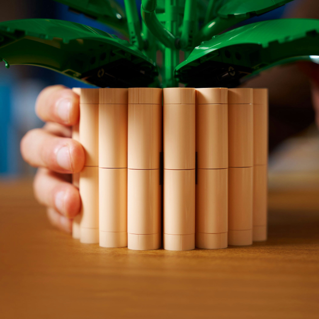 Конструктор Lego Botanicals "Спатифілум", 11504 6