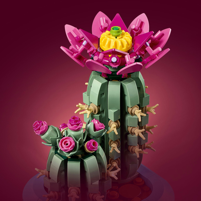 Конструктор Lego Botanicals "Цвітіння кактуса", 11509 5